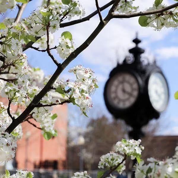 Titusville clock with flowers